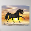 Search for horses posters Pony
