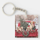 Search for retro trucks key rings Cute