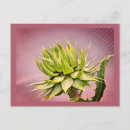 Search for dream postcards Botanical