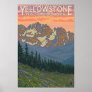 Search for yellowstone national park posters Flowers