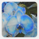 Search for cerulean stickers Blue