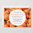 Search for the pumpkin patch photography Orange