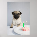 Search for pugs posters Cute