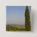 Search for countryside badges Tuscany