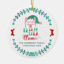 Search for funny christmas decor Xmas