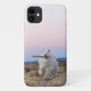 Search for samoyed electronics Dog