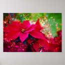 Search for winter rose posters Flower