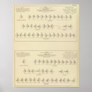 Search for lithographed posters United