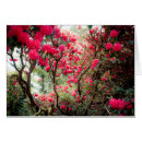 Search for giant flower postcards Plant