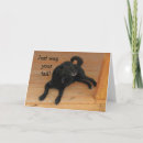 Search for dog lover birthday cards Labrador retriever