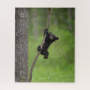 Search for black bear puzzles Danita delimont