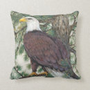 Search for eagle cushions America