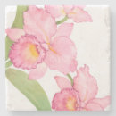 Search for exotic coasters Foliage