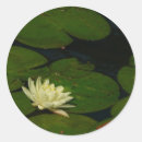 Search for pads stickers Floral