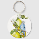 Search for budgies key rings Budgerigar