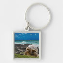 Search for turtle key rings Amphibian