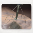 Search for bacterium mousepads Magnification