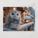 Search for little owl postcards Cute