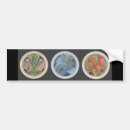 Search for dragons bumper stickers Drake