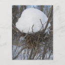 Search for snow birds postcards Tree