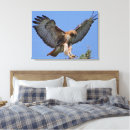 Search for red tail hawk art Bird of prey