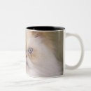 Search for himalayan mugs Fluffy