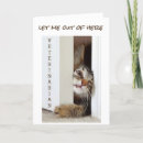 Search for funny doctor birthday cards Kitten