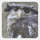 Search for owls head stickers Close up