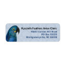 Search for hyacinthe Vintage