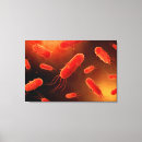 Search for microbiology art Disease