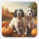 Search for english setter stickers Animal