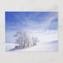 Search for large format postcards Scenic