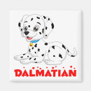 Search for the fire magnets Dalmatian