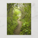 Search for forest path postcards Outdoors
