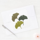 Search for ginkgo stickers Modern