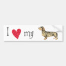 Search for i love my dachshund bumper stickers Doxie