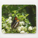 Search for sister mousepads Nature