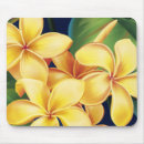 Search for plumeria mousepads Hibiscus