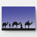 Search for three wise men Camels