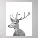 Search for black and white deer art Forest