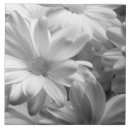 Search for holland tiles White