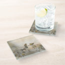 Search for birch tree coasters Outdoors