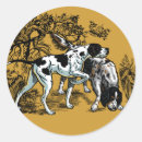 Search for pointer dog stickers Breed