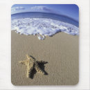 Search for maui mousepads Ocean