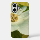 Search for dogwood iphone cases Flower