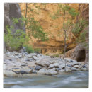 Search for zion tiles Zion national park