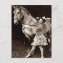 Search for percheron postcards Equine