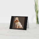 Search for basset cards Animal