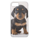 Search for cute dachshund iphone cases Animals