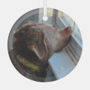 Search for chesapeake bay retriever christmas tree decorations Dog